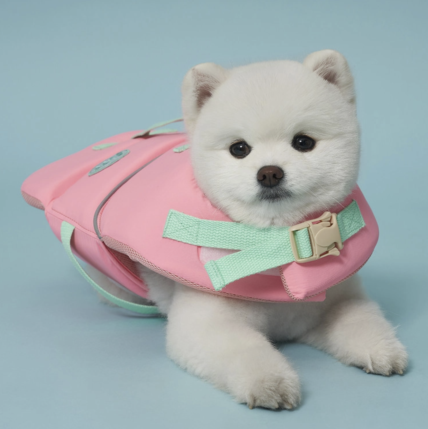 *SuperPet 🇰🇷 夏日必備 Joyful 狗狗救生衣