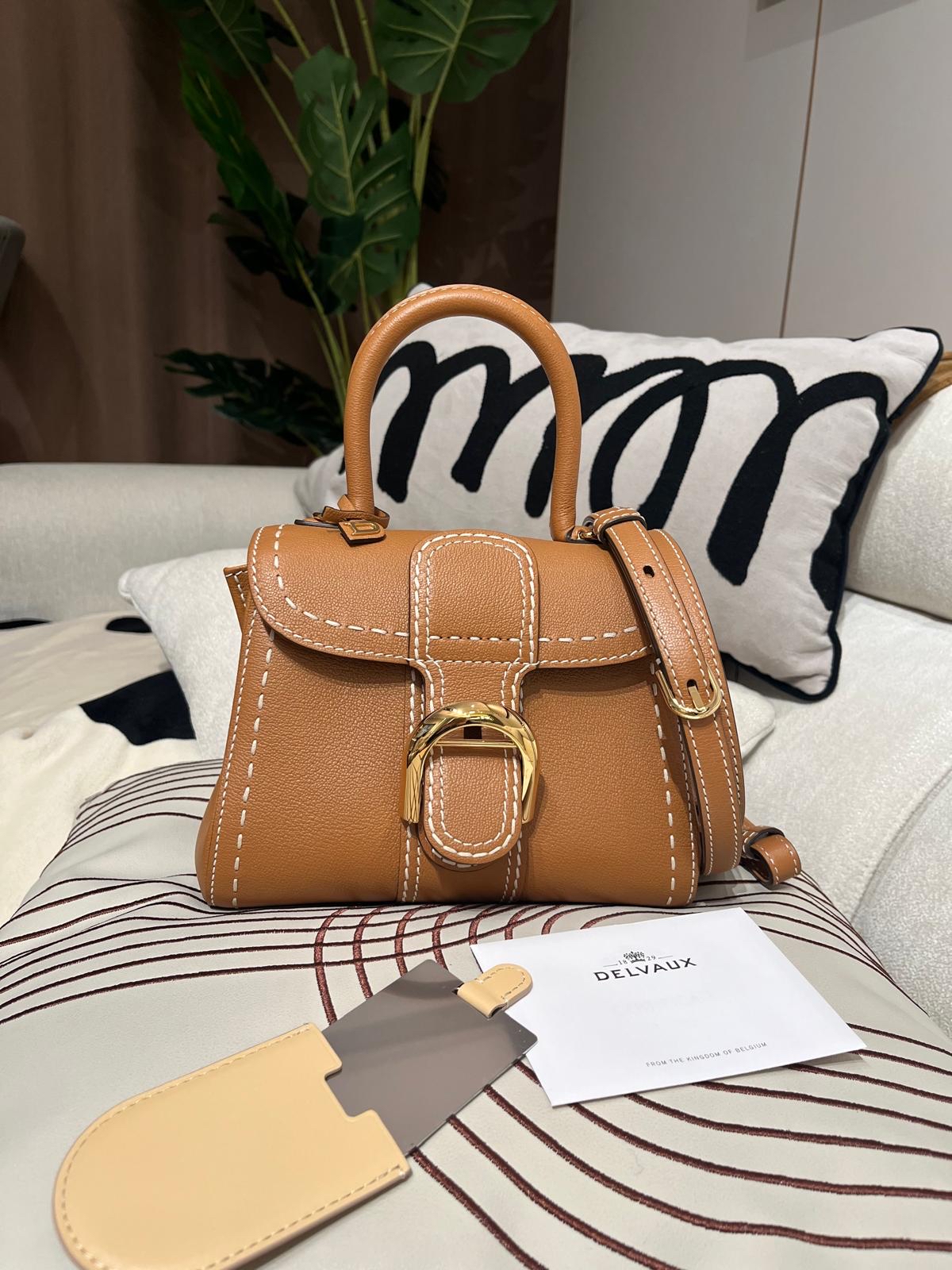 Delvaux brillant mini rodeo calfskin 📣專門店售價$58800📣 100%Authentic ,98%new  ✅塵袋✅鏡✅證書✅背帶✅代購收據