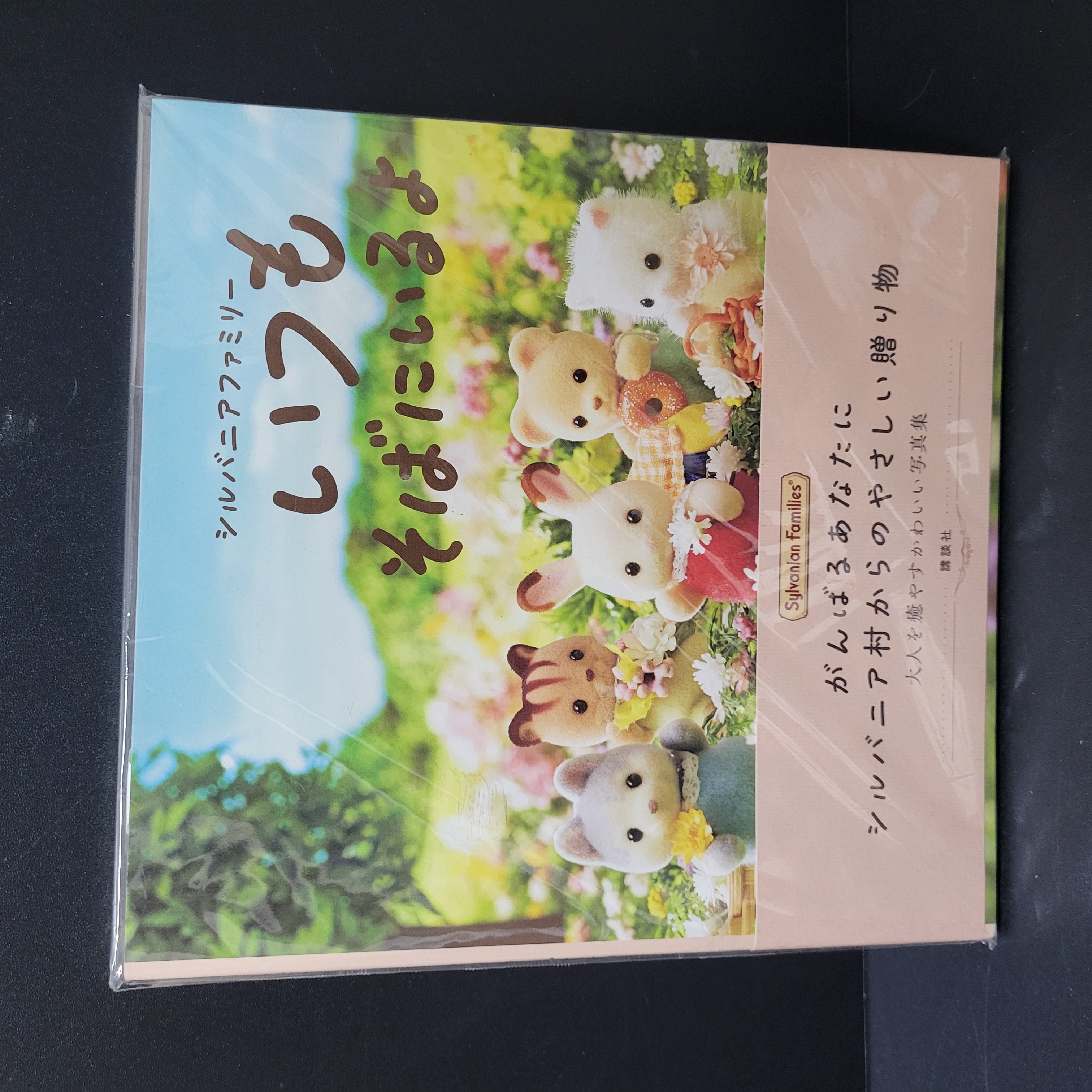 森林家族寫真集