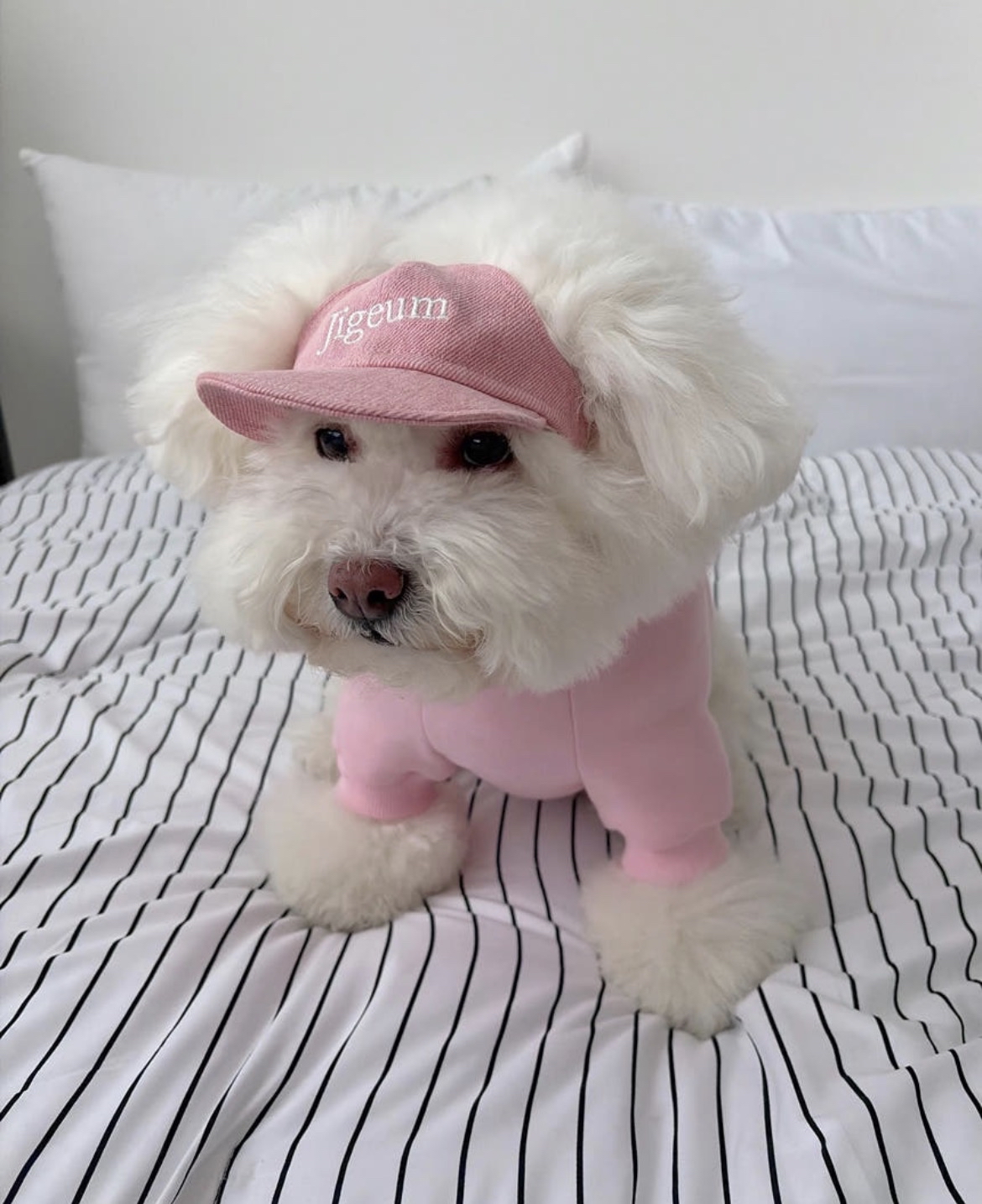 韓國🇰🇷 Confetti Naming Ball Cap