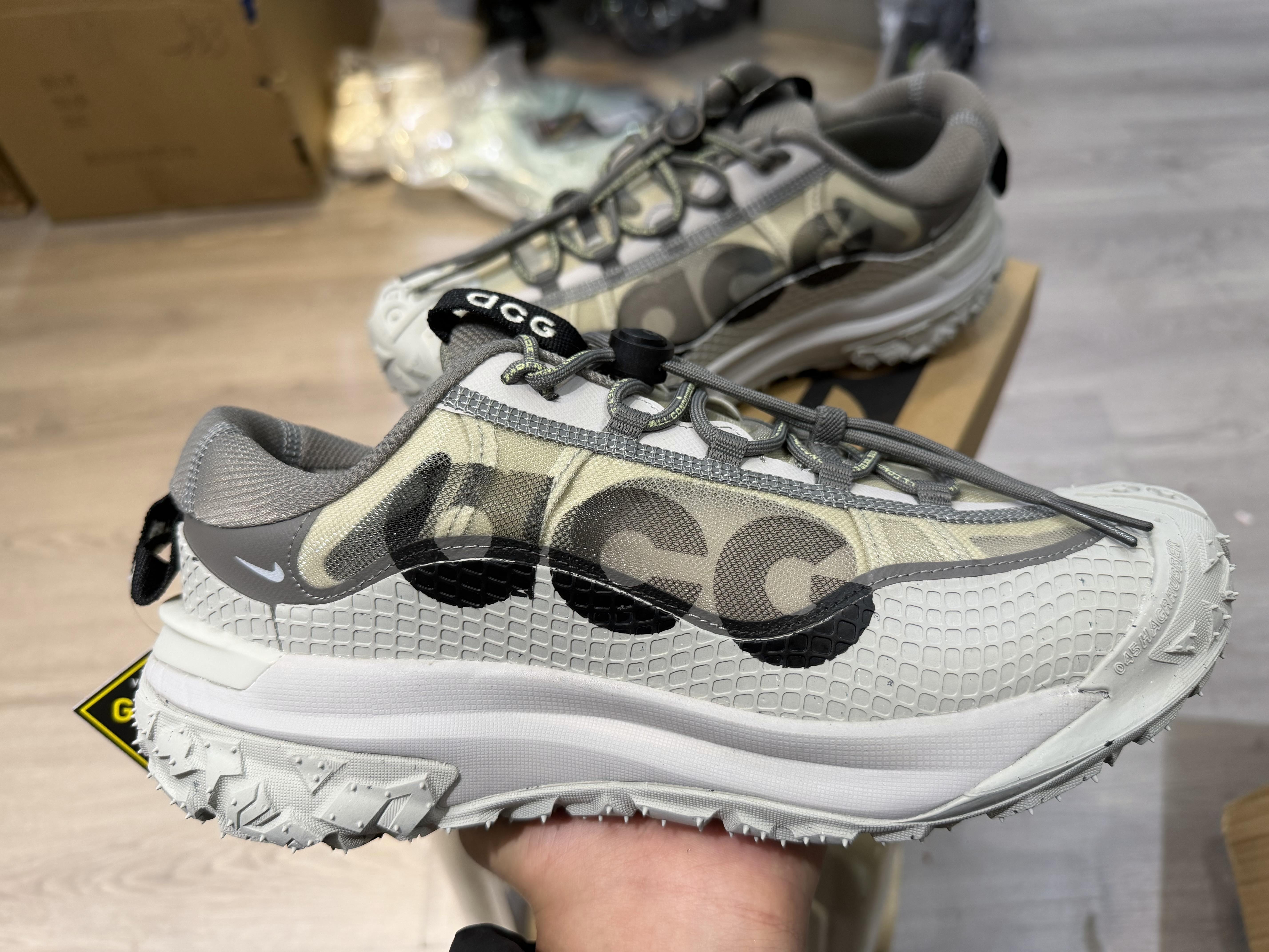 Nike ACG Mountain Fly 2 Low