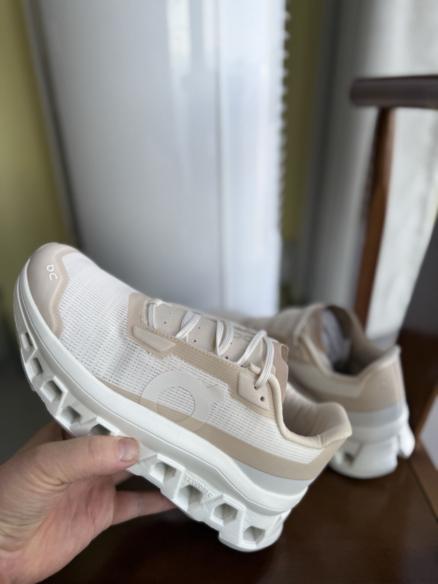 On Cloudmonster Void