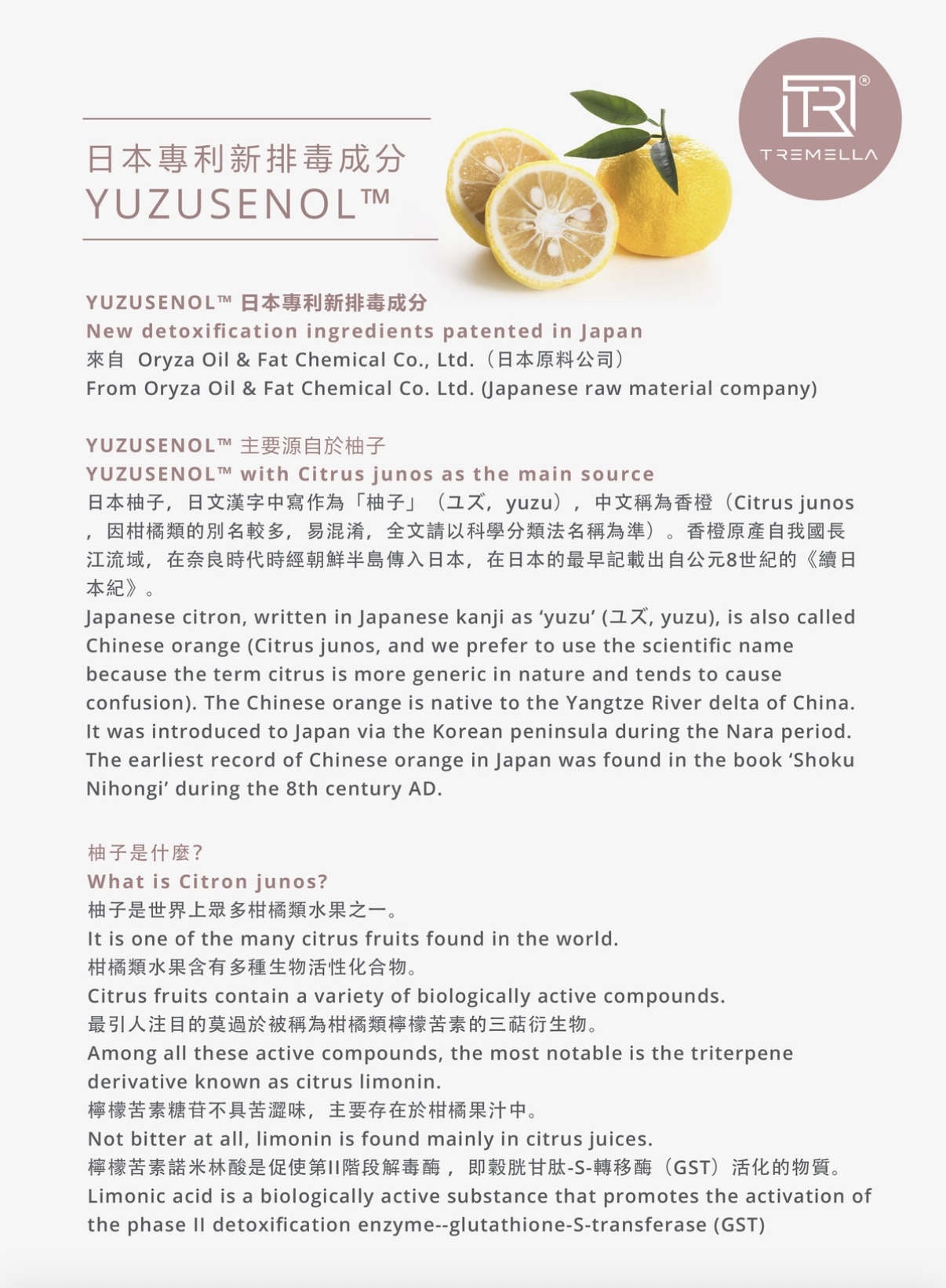 YUZUMI 柚美-酵素蔬果植物綜合美白排毒瘦身飲（16枚x20g）