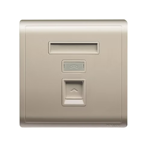 施耐德 Pieno 沉醉金 單位 CAT5E數據插座