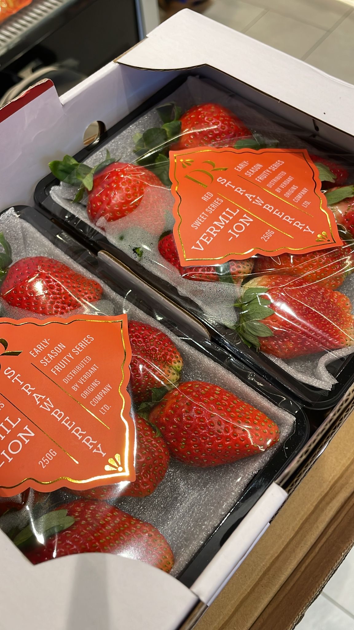 DR Higyokukyo 士多啤梨