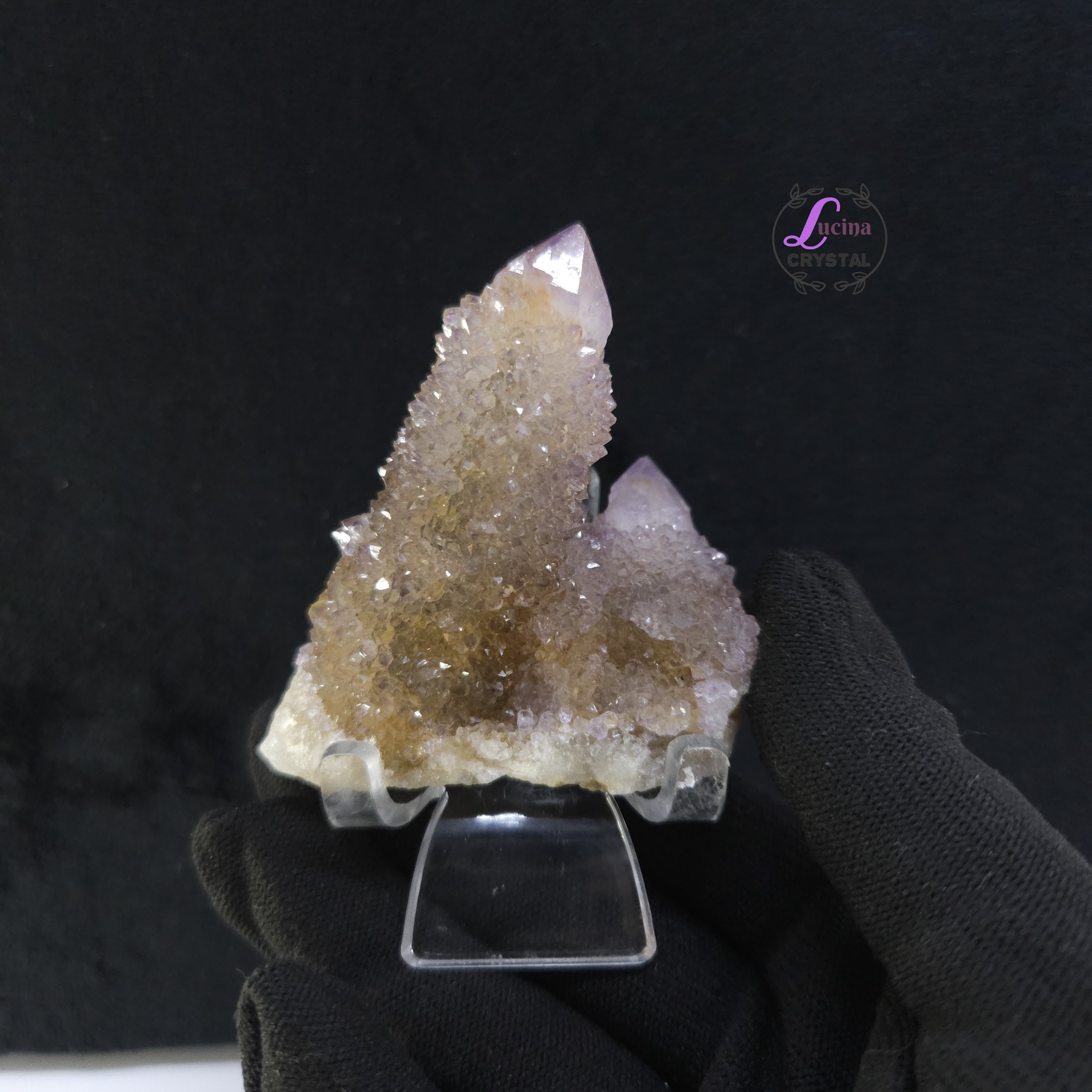 (Co#LC8559) 仙人掌紫水晶/Cactus Amethyst Cluster