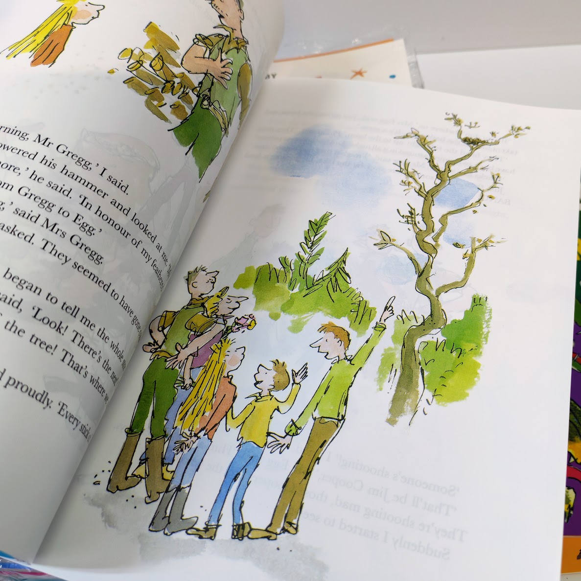 Roald Dahl 20 books  | A4 size  羅爾德達爾奇幻故事彩裝版大全套   B020