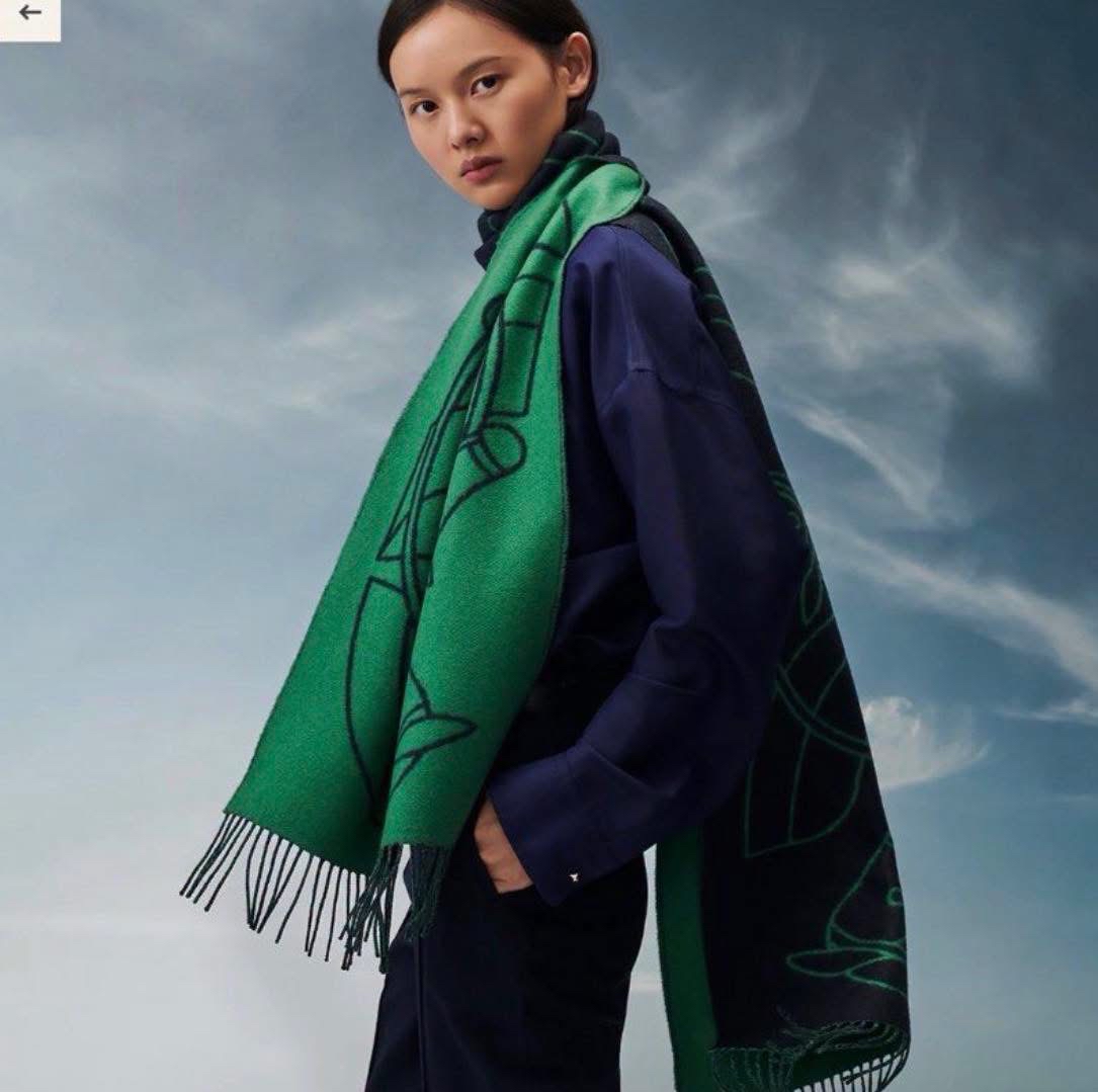 全新 Hermes Casaque Entrelacs Equestres muffler 100% cashmere 195x40 cm new 100%Authentic,100%new 全新貨品