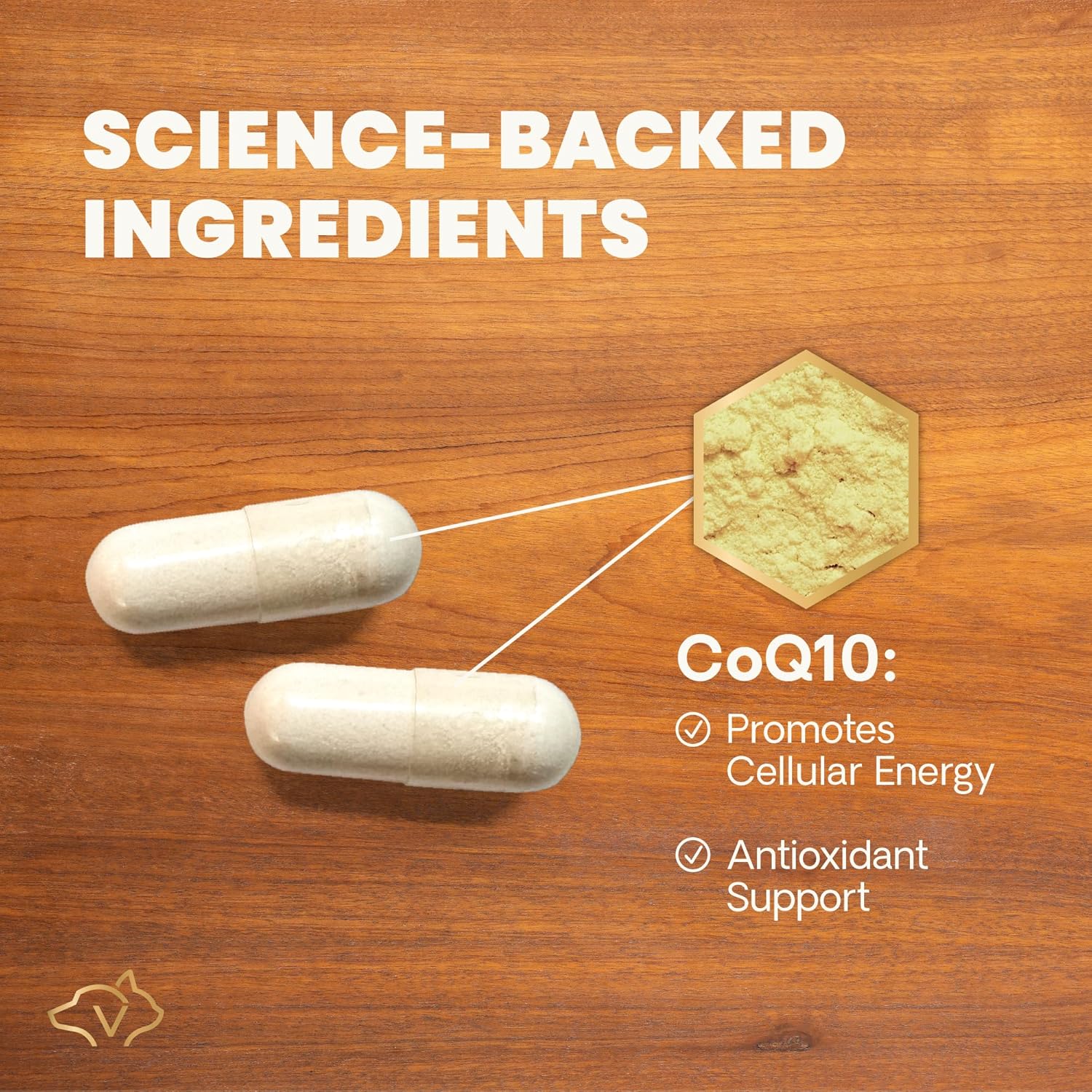 Vetri Science Coenzyme Q10 輔酶素 膠囊