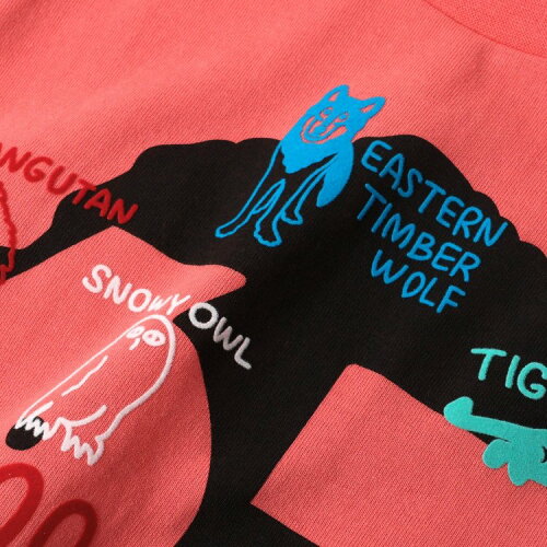 🆕【⭐訂購⭐】🇯🇵  日本直送🌀日本旭山動物園 可愛動物印花 短袖Tee［6款選］🌀[ELCA-0203][260423]