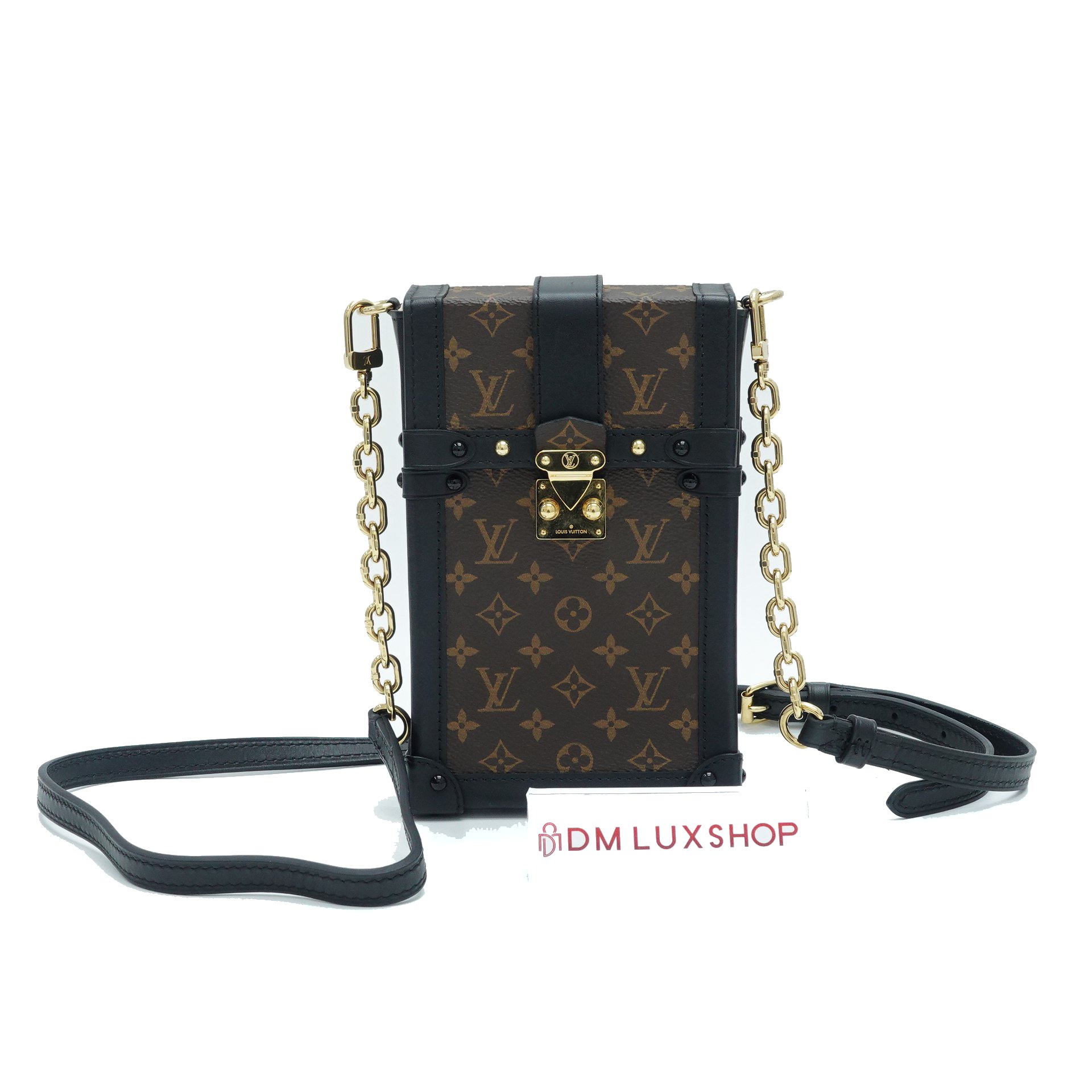 LV Monogram Pochette Trunk