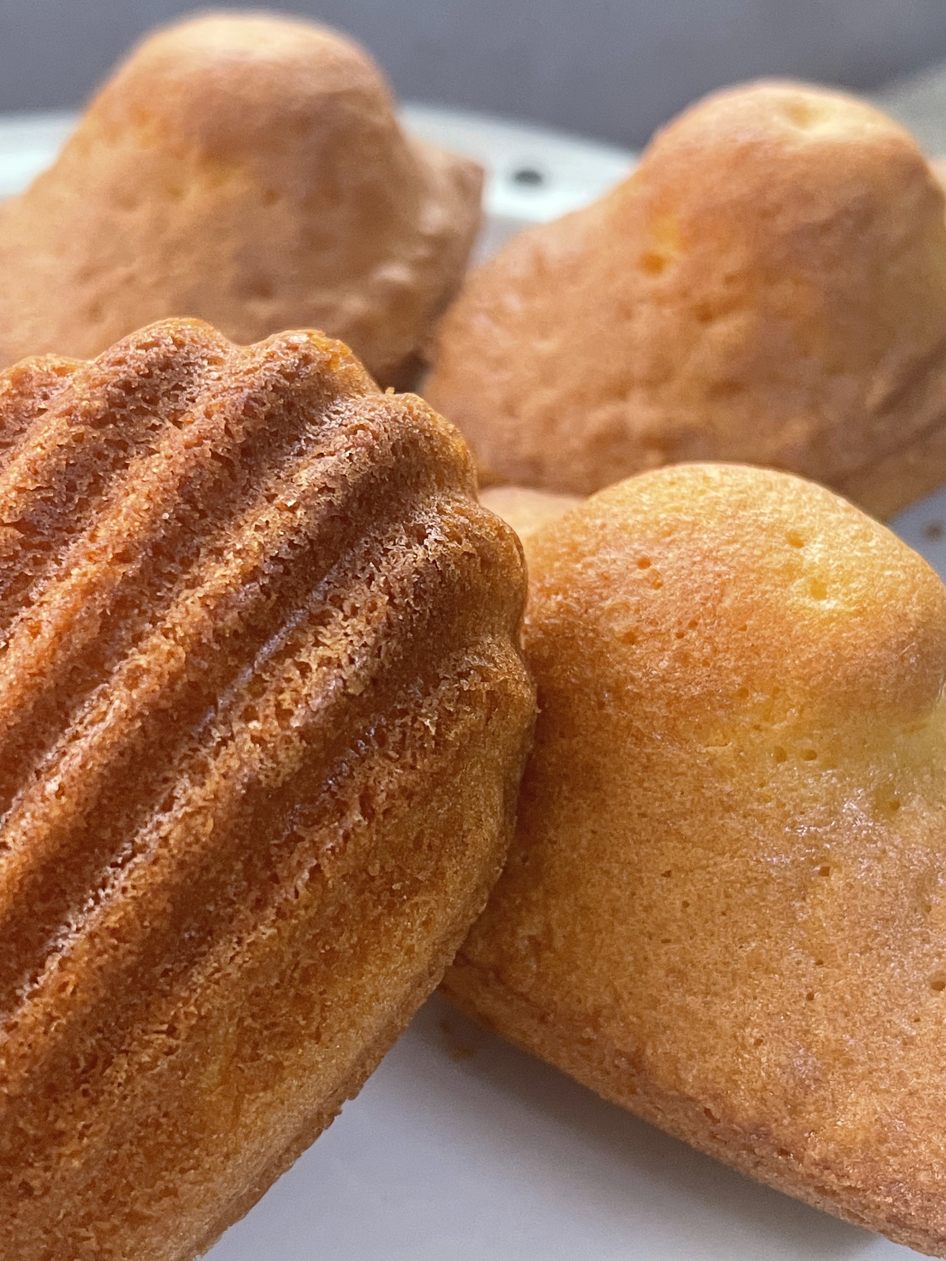 法式經典檸檬瑪德蓮小蛋糕 (一套8件)