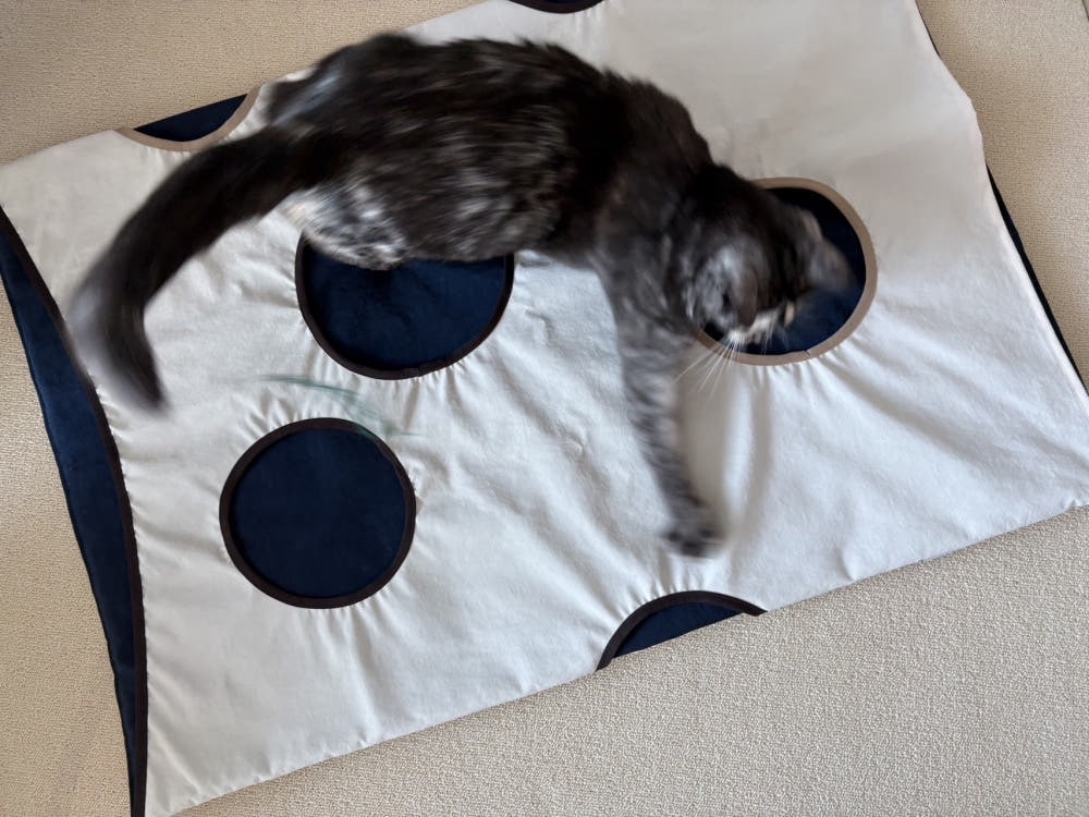 OMU 高質感貓隧道