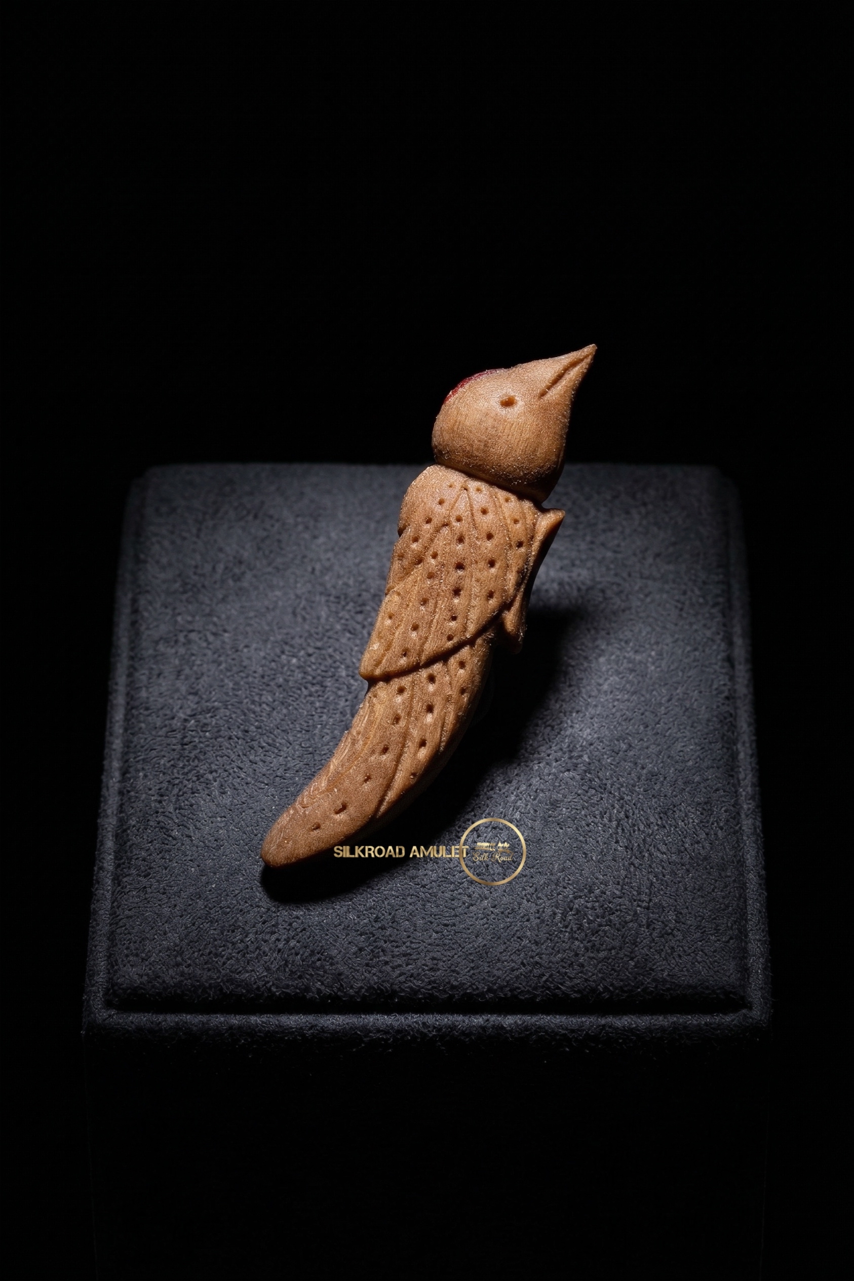 龍婆披贊  百年嫁龍神木 x 古法金舌人緣鳥🪵🕊️  附全高清防水殼｜師父親手寫符｜專屬經文及佩戴方法✨