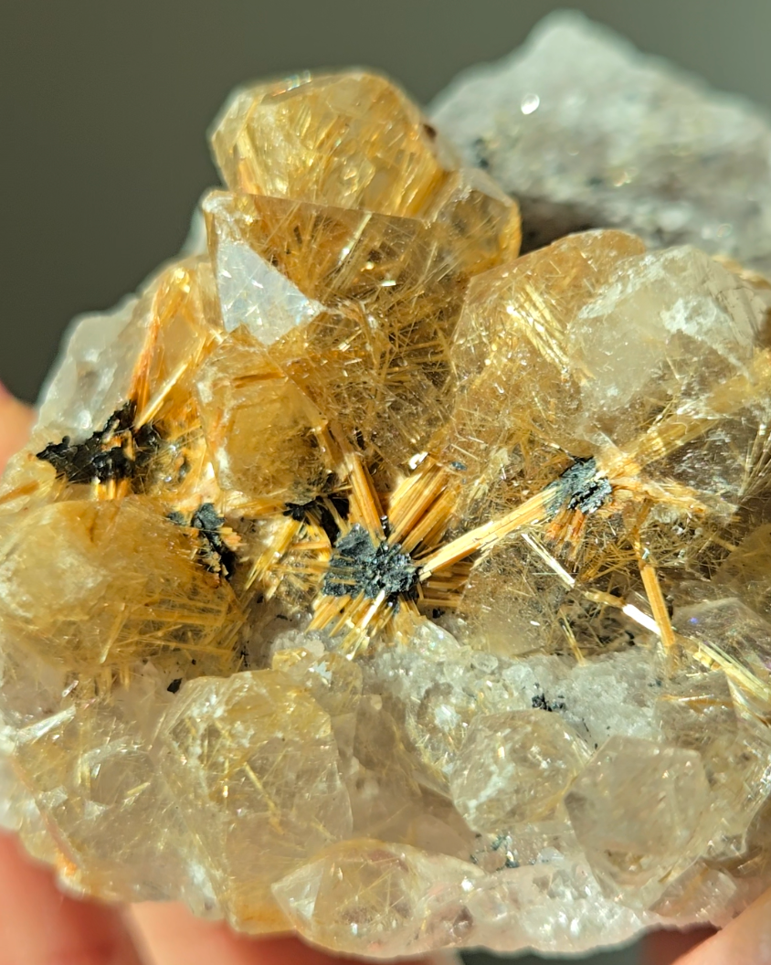 Golden starburst black hematite flower rutile quartz - RT1432