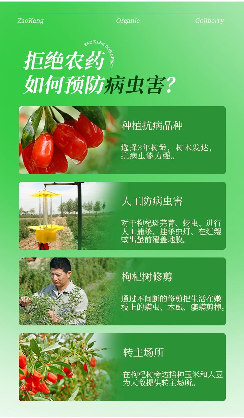 🍒有機枸杞 👍🏻多國有機認証