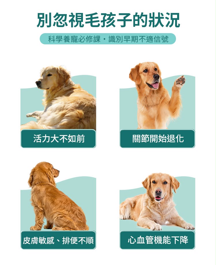 HaBibi®️ 狗狗NMN抗衰黃金配方 [中小型犬] 日本製造