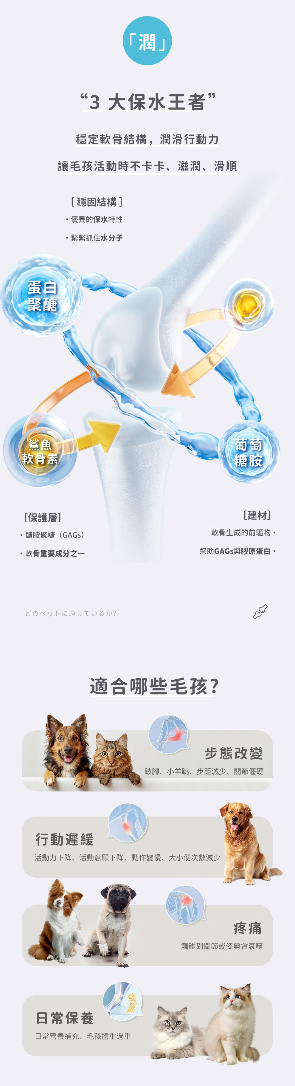 台灣動物醫院用關節保健-關節大師