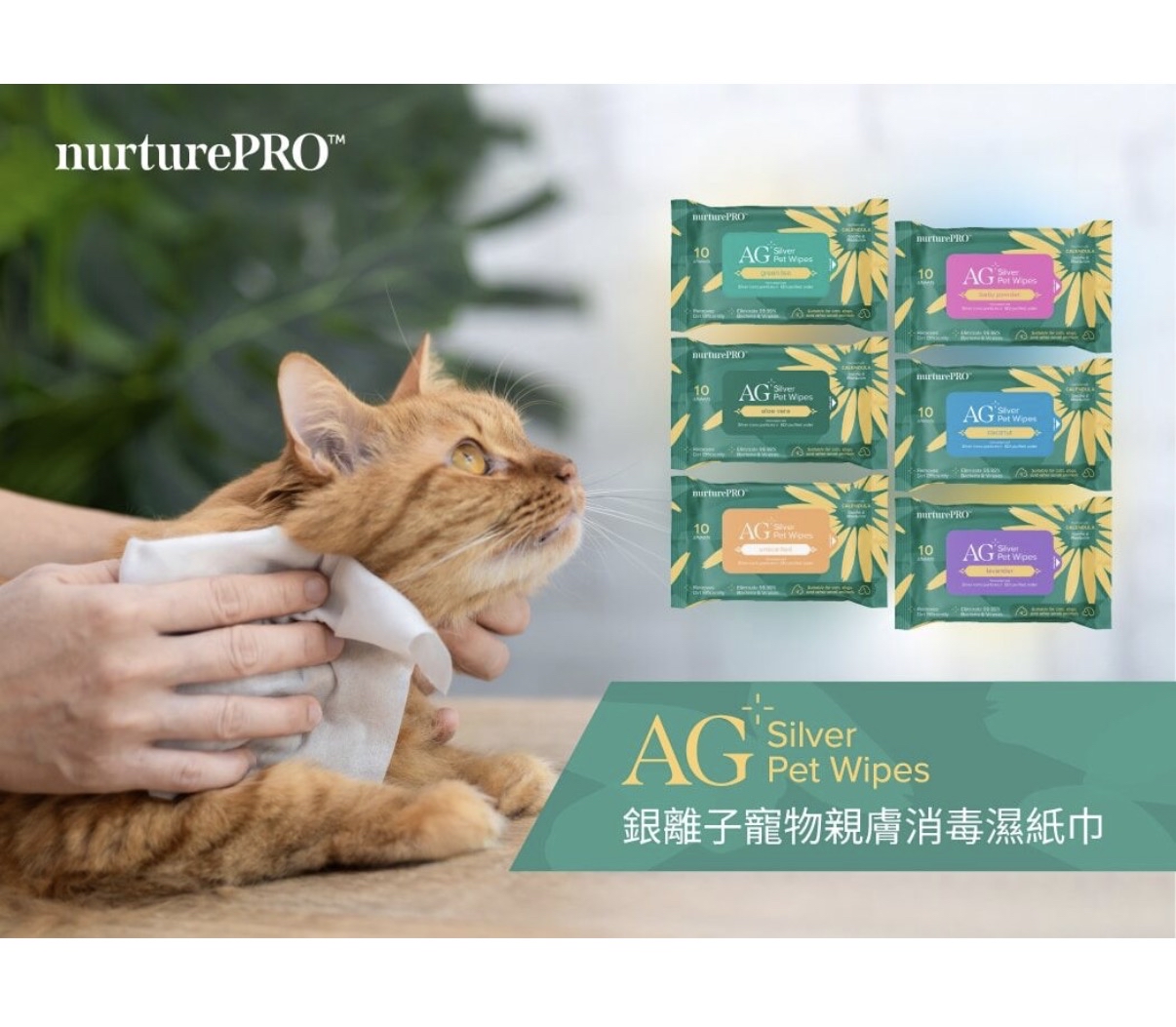 （貓狗可用） Nurture Pro AG+ 銀離子寵物親膚消毒濕紙巾 - 10片裝