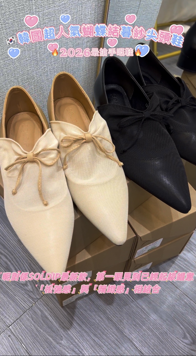 S001🇰🇷韓國超人氣暮紗尖頭鞋
