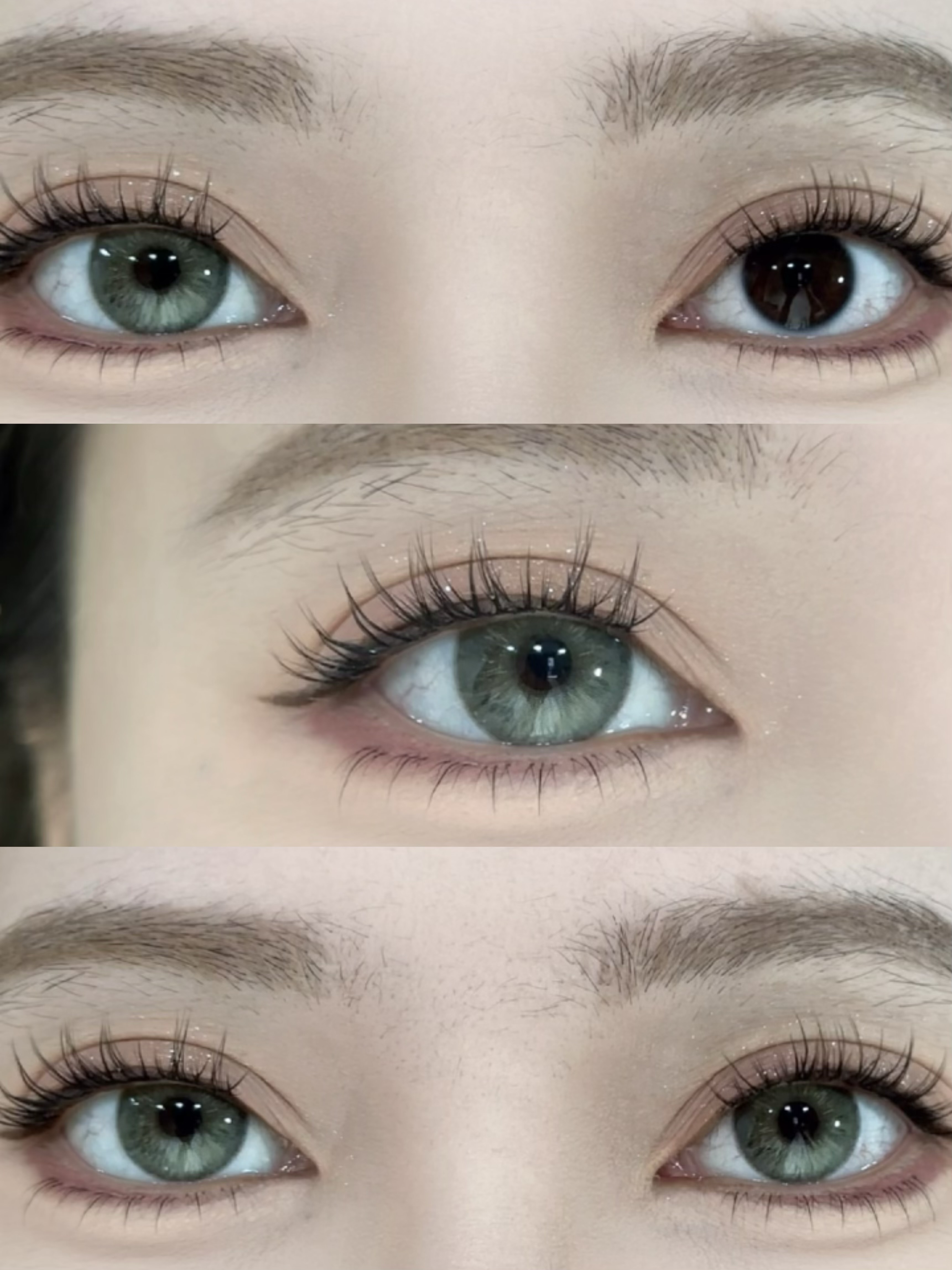 Serltyca 日拋6片裝 未知世界/香檳貓眼