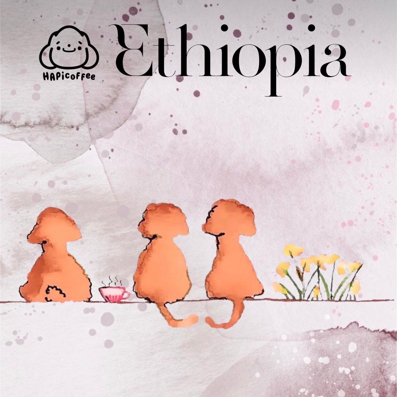 ETHIOPIA Niguse Gemeda Karamo Anaerobic Fermentation Natural