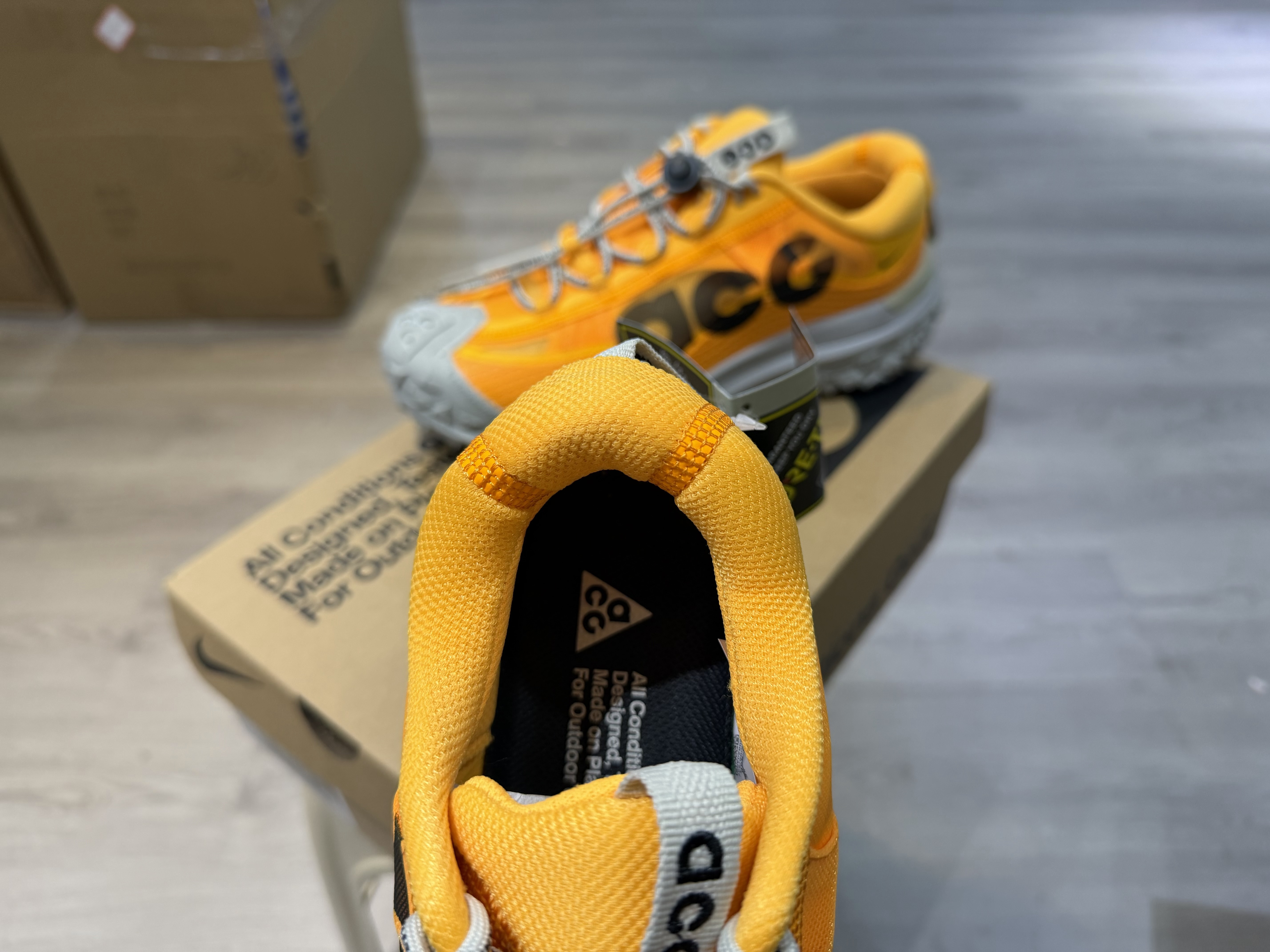Nike ACG Mountain Fly 2 Low