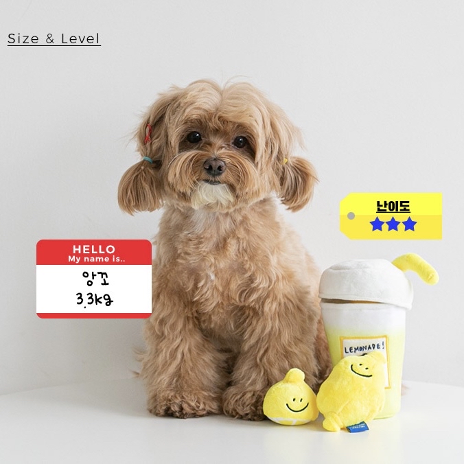 *預購 BiteMe🇰🇷 Second Morning 檸檬汽水藏食玩具