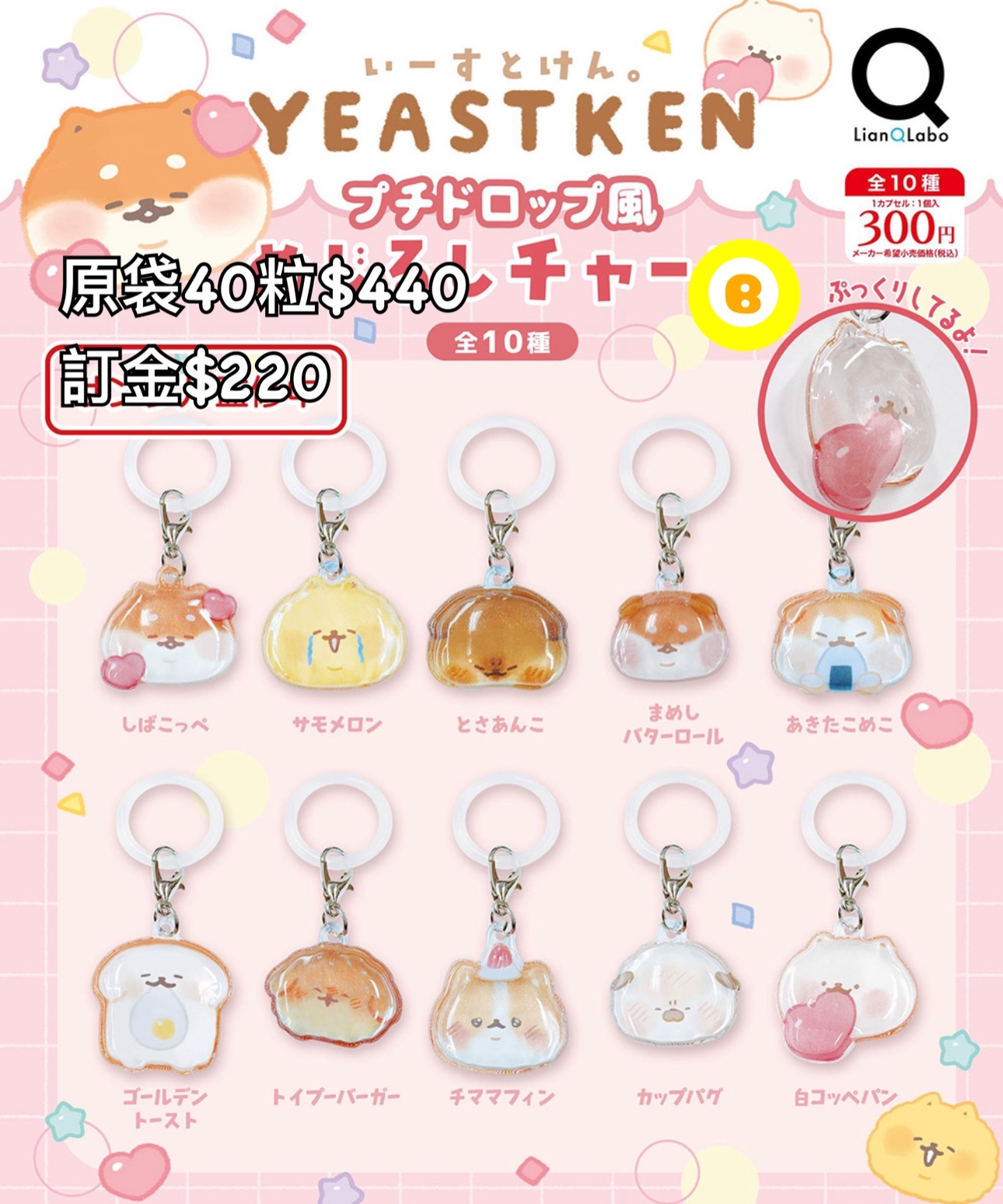 Preorder預訂7/2026年Yeastken扭蛋原袋40粒