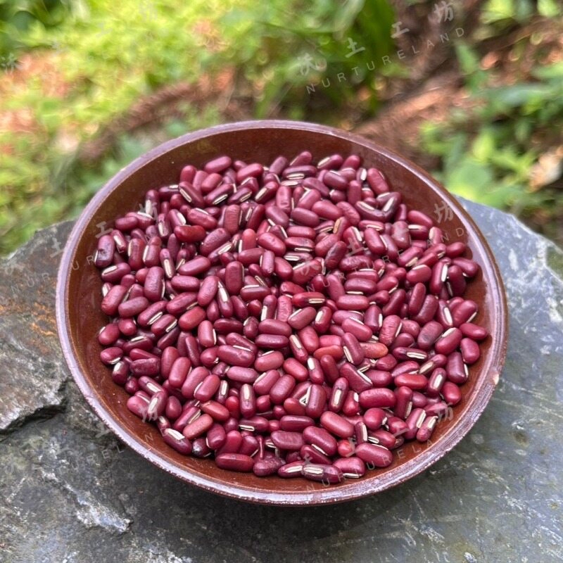侗家老品種赤小豆 (500g)