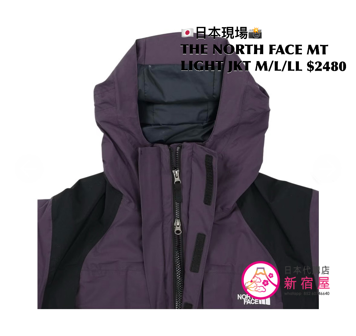 THE NORTH FACE MOUNTAIN LIGHT JACKET
