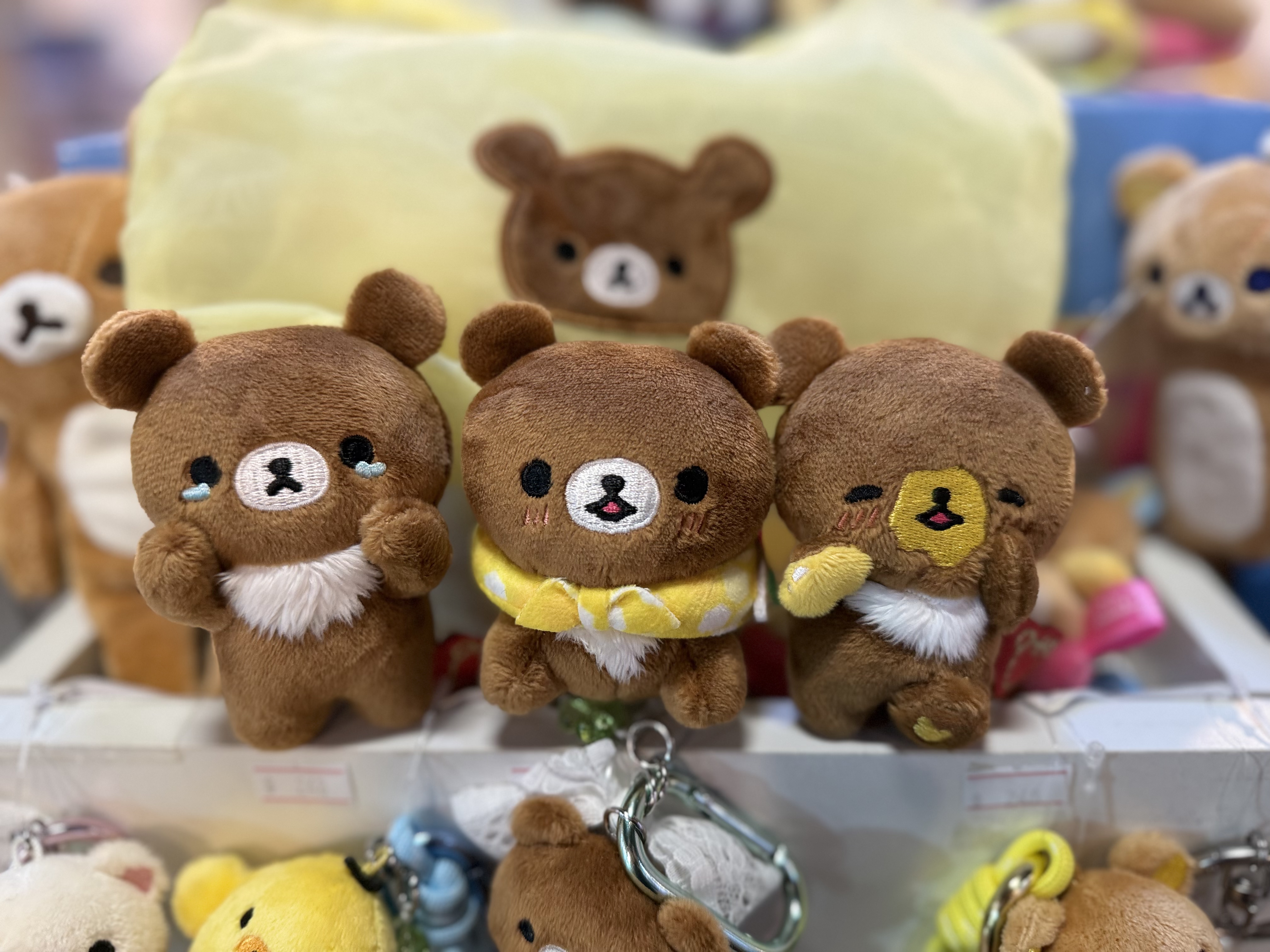 《現貨》全新日本小熊10週年紀念巡迴pop up店限定小熊探險隊系列3隻手玉連索袋套裝