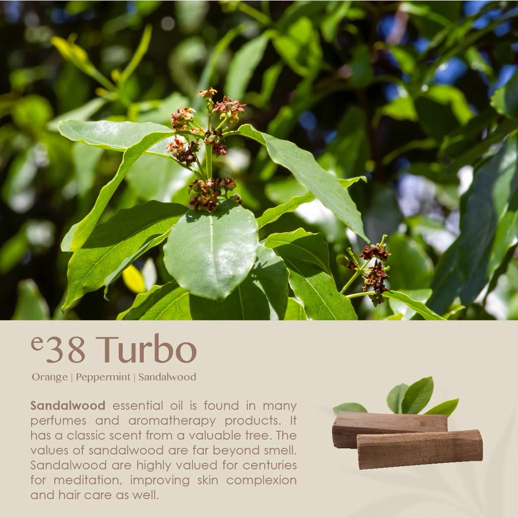 eBlend Turbo — Vital Surge (10ml)