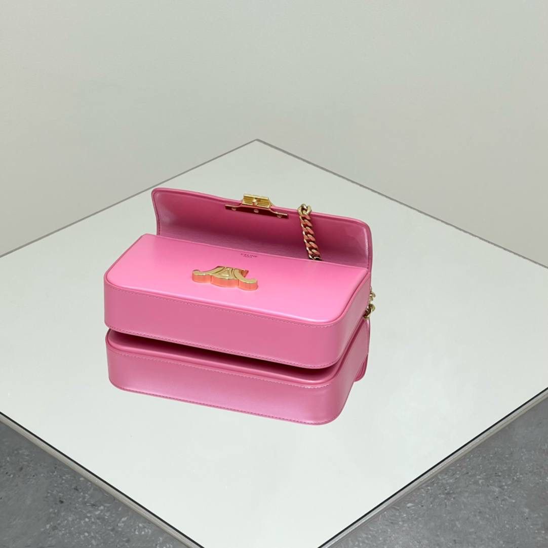 🔥大货实拍图 𝗖𝗘𝗟𝗜𝗡𝗘 ♥ 𝗧𝗥𝗜𝗢𝗠𝗣𝗛𝗘链条腋下包 型号：197993 尺寸：20.5*11.5*4cm