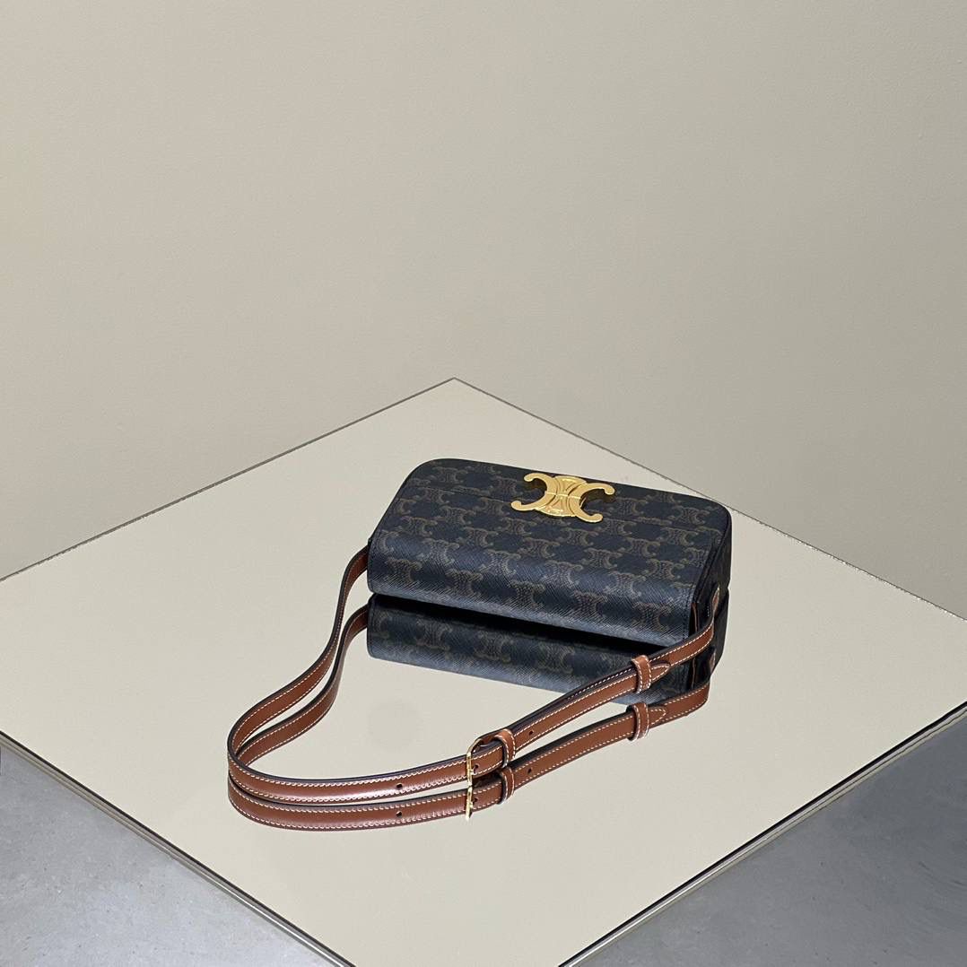 🔥大货实拍图 𝗖𝗘𝗟𝗜𝗡𝗘 ♥ 𝗧𝗥𝗜𝗢𝗠𝗣𝗛𝗘 𝗦𝗛𝗢𝗨𝗟𝗗𝗘𝗥 𝗕𝗔𝗚 型号：194142 尺寸：20*10*4cm