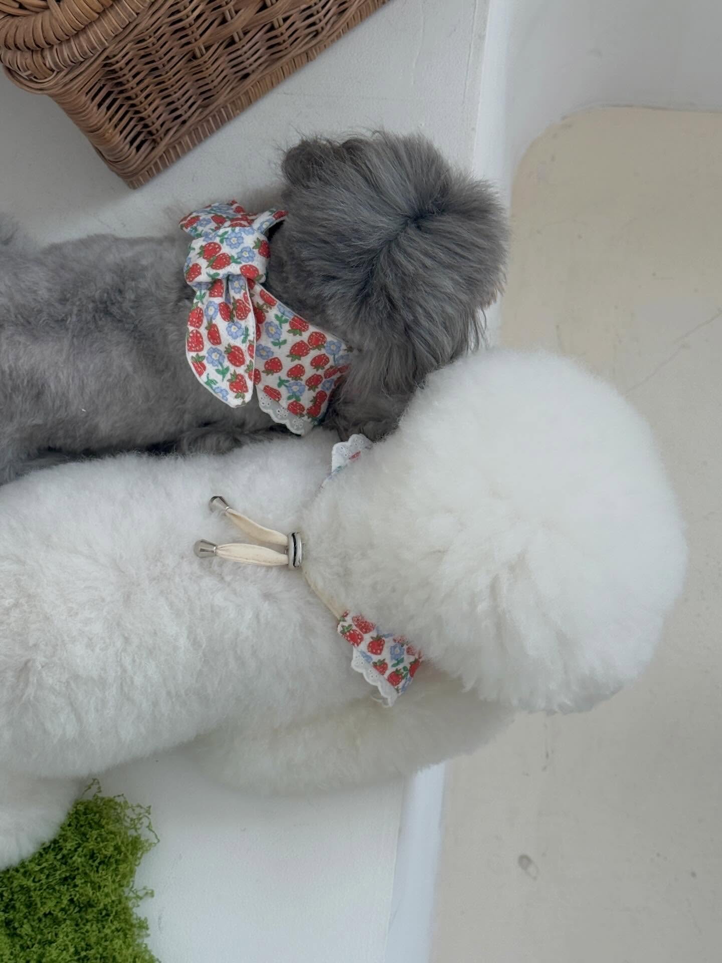 🍓Berry Garden bib/scarf