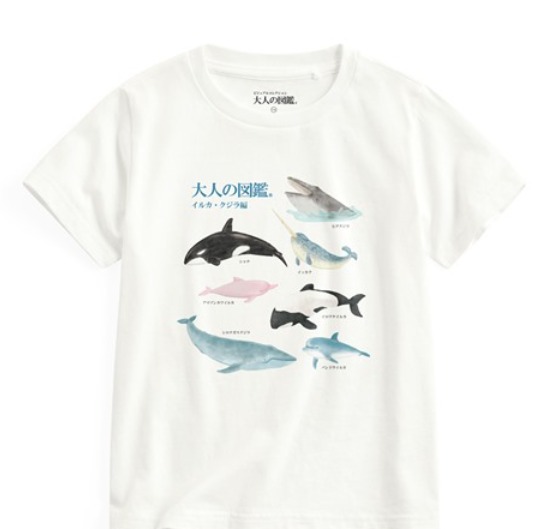 大人的圖鑑印花T恤-童