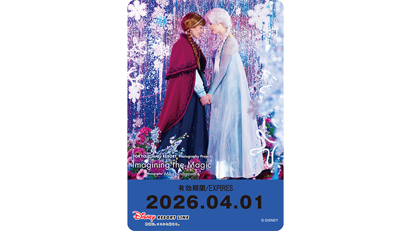 預訂 東京迪士尼樂園限定 車飛