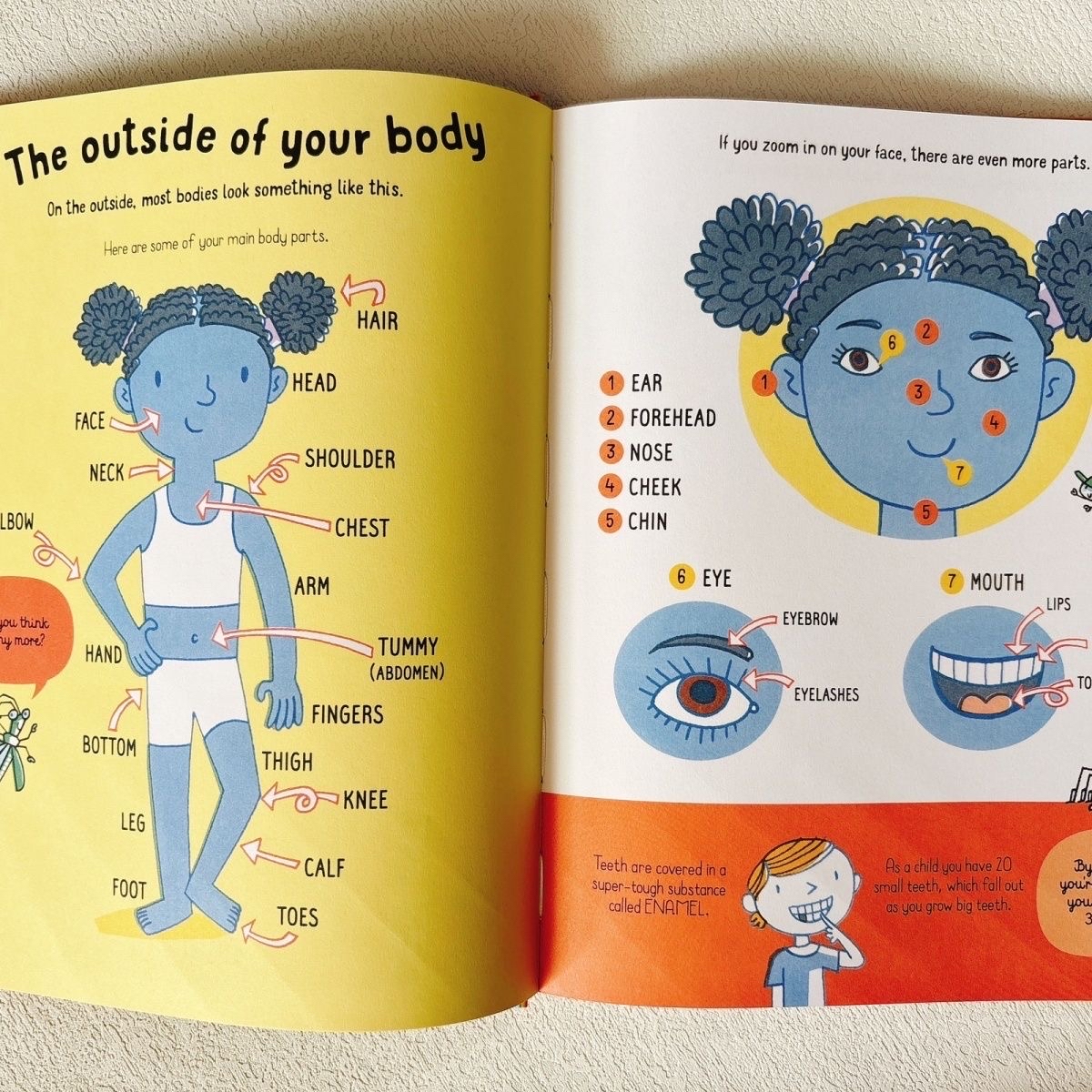 All You Need to Know about Your Body by Age 7 