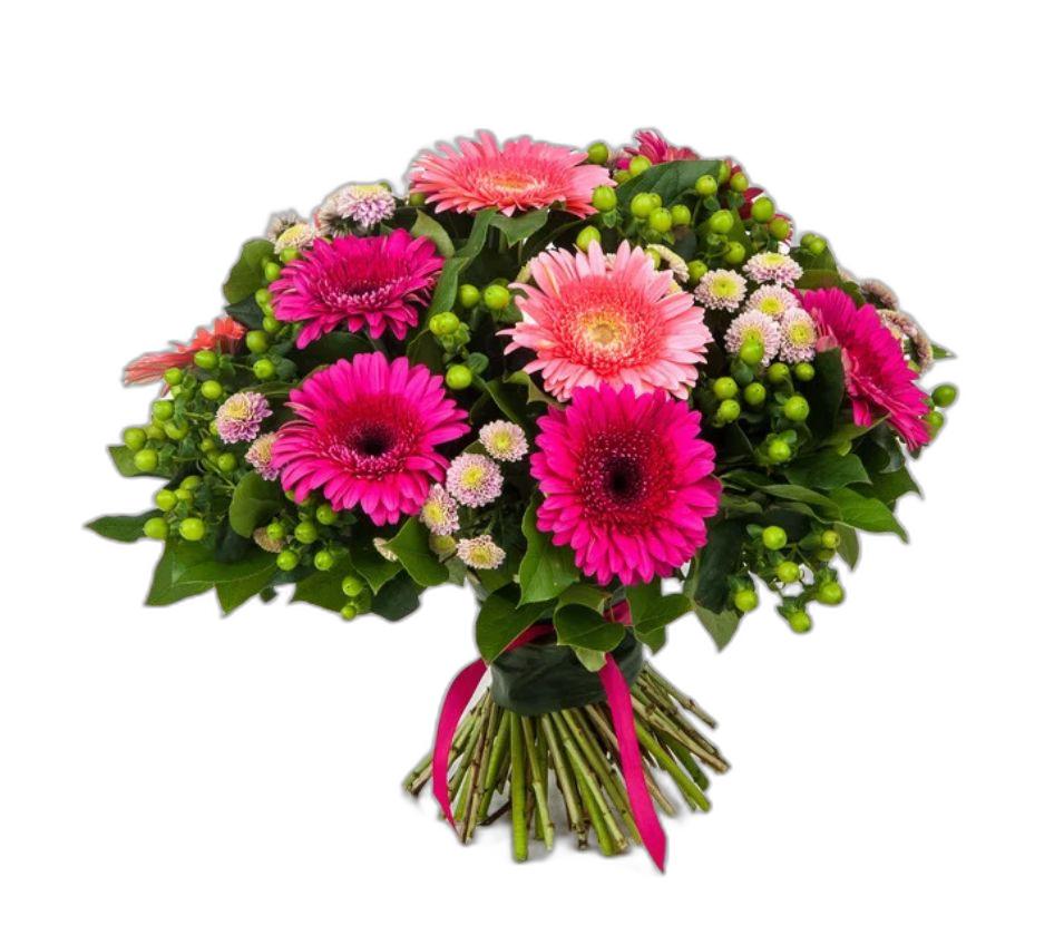 繽紛粉紅非洲菊花束 - 愛意與慶祝的完美表達