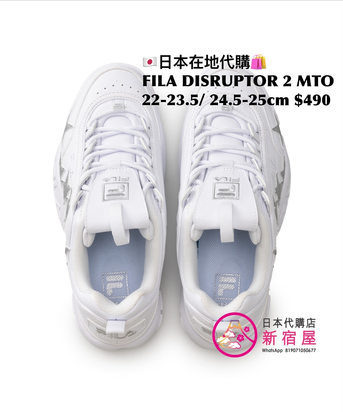 FILA DISRUPTOR 2 METEOR