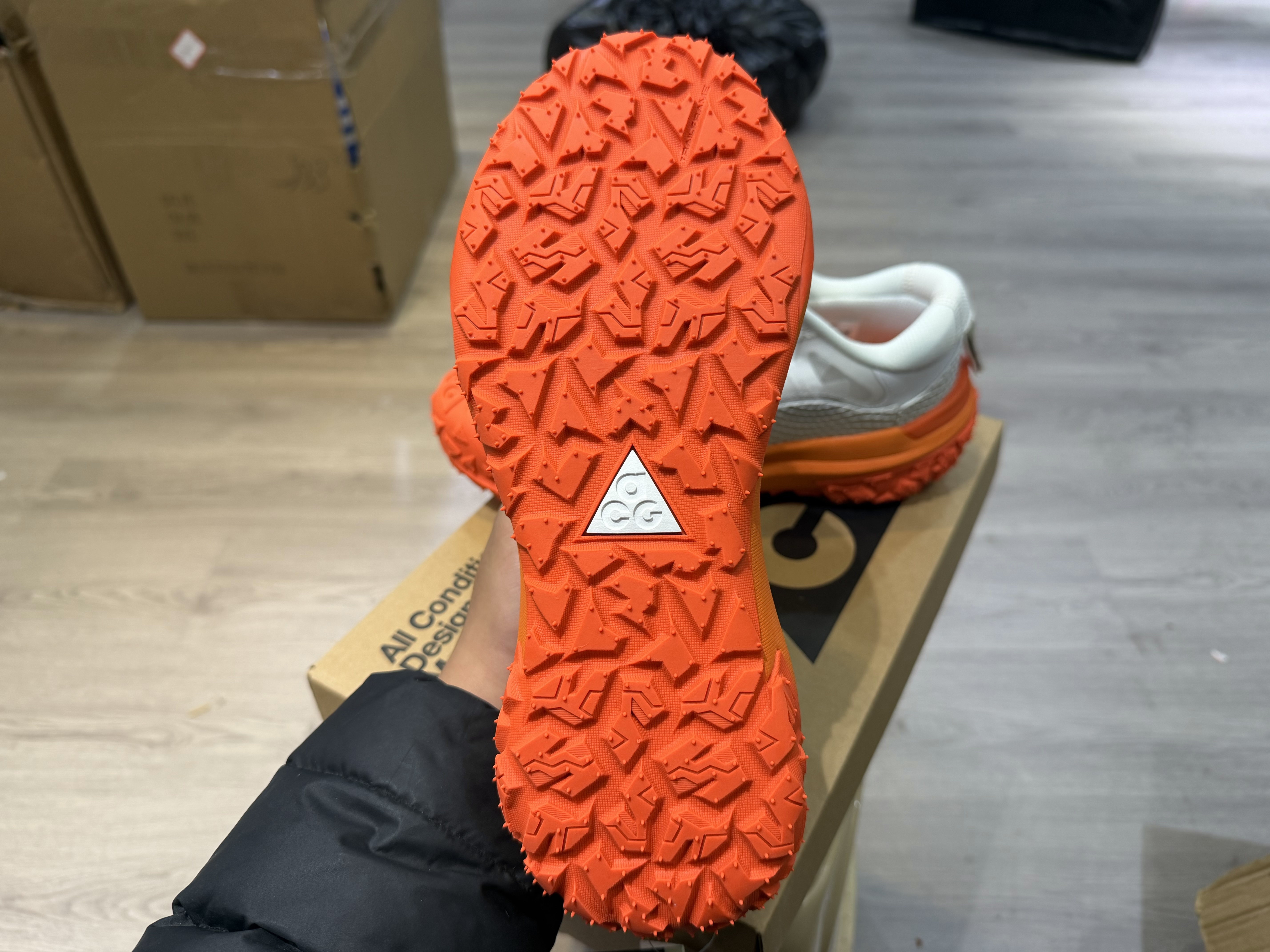 Nike ACG Mountain Fly 2 Low