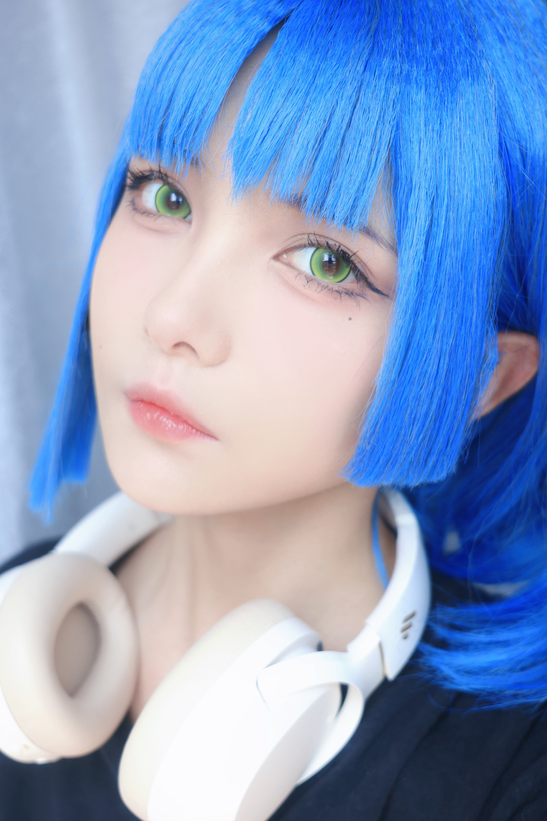 Dgugulens 日拋 波崽糕系列