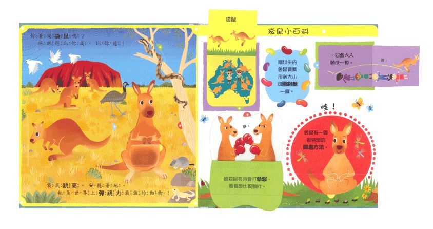 上人 First facts and flaps: 奇妙的動物