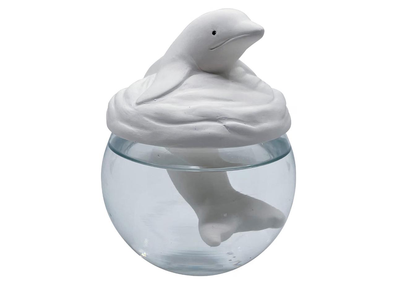 海豚🐬自然加濕器