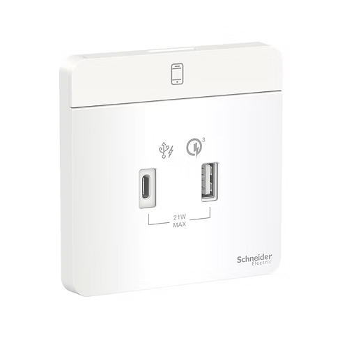 施耐德 AvatarOn 白 2位21W Type A+C USB充電 插座