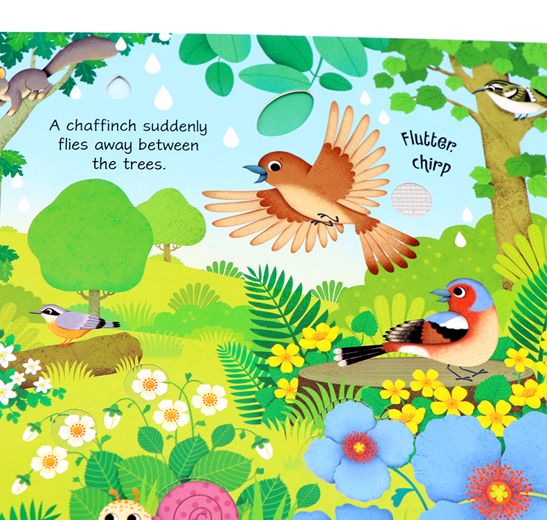 Usborne Bird Sounds book鳥類奇妙觸摸發聲書 