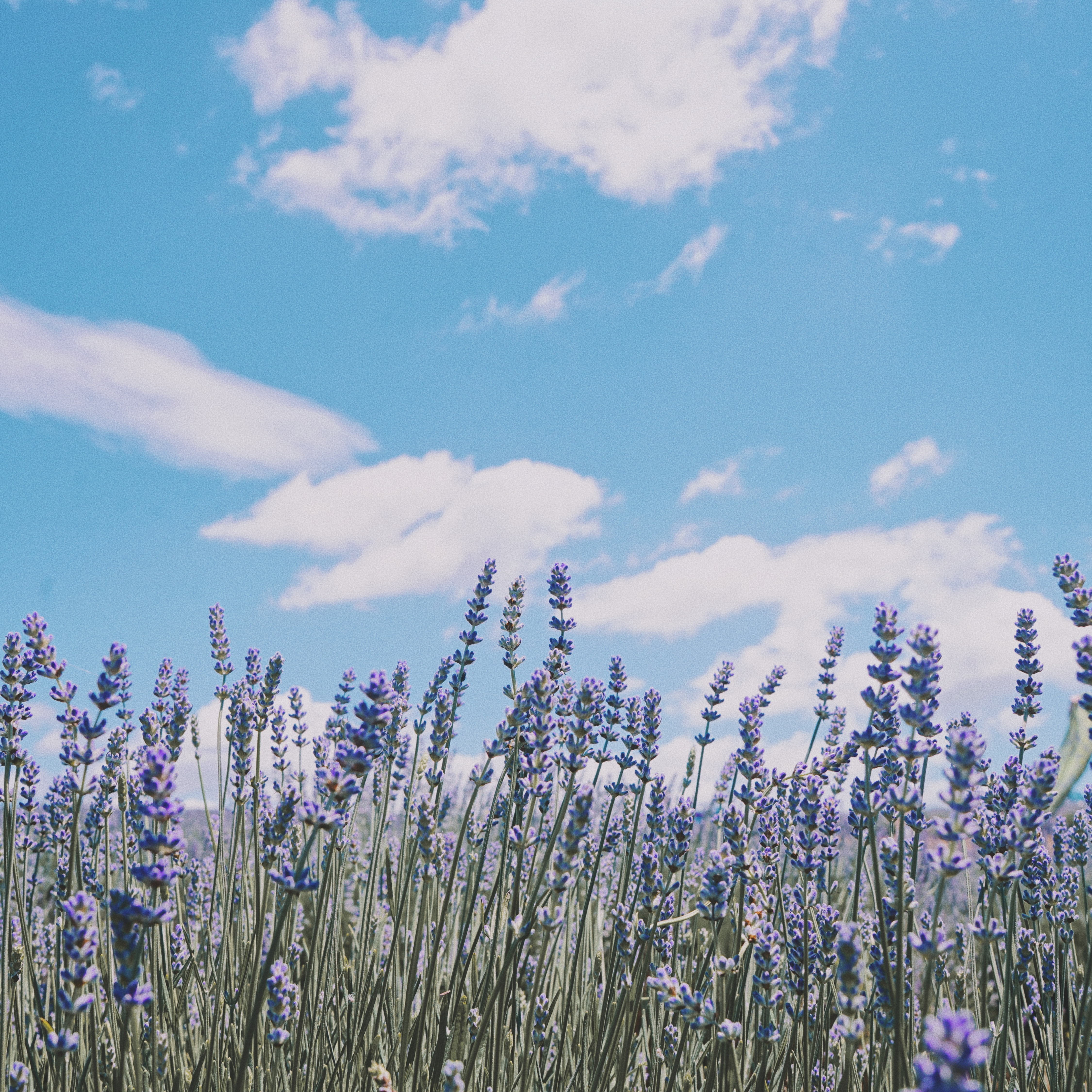 Desktop image