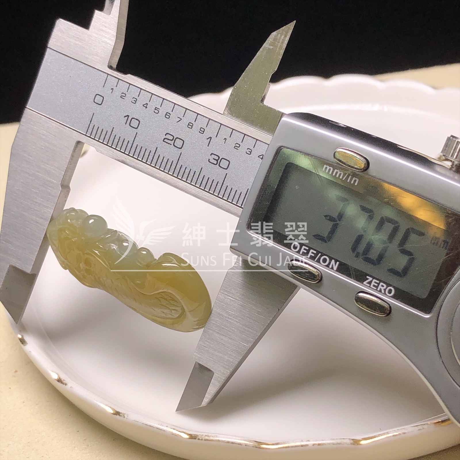 B07377 冰黃龍魚