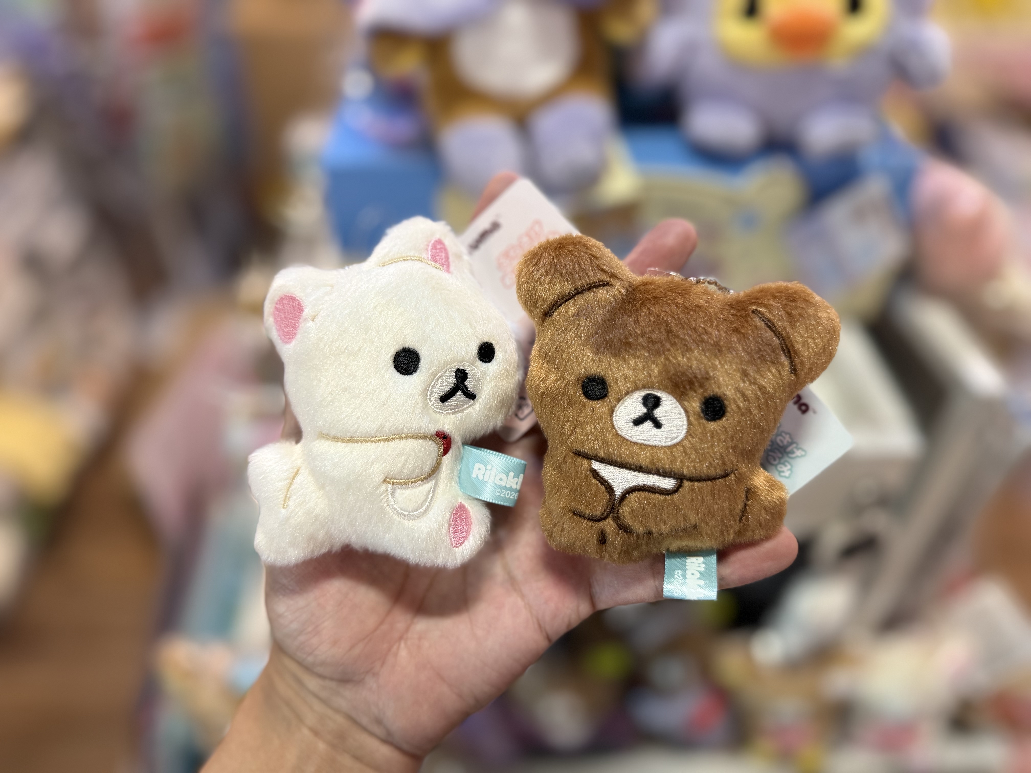 《現貨》全新Rilakkuma瓦瓦貓系列掛飾
